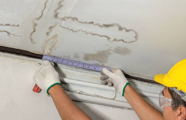Reliable Mold Remediation contractor in Bancroft, MI by Water Damage Irwin